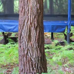 Meet your Posher, Phyllis